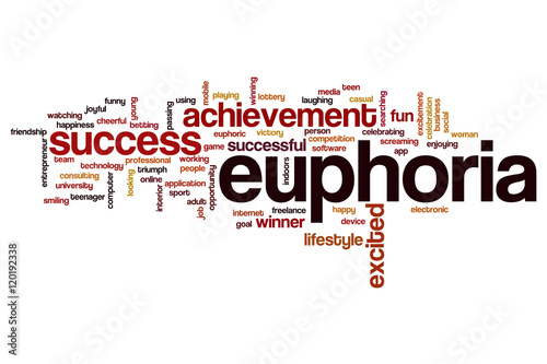 Tablou pe pânză Euphoria word cloud