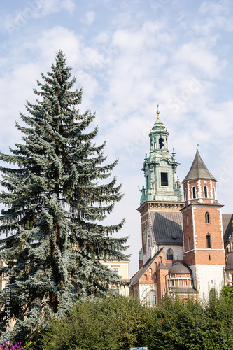 Sigismund`s Chapel of Cathedral Wawel (Krakow, Poland)