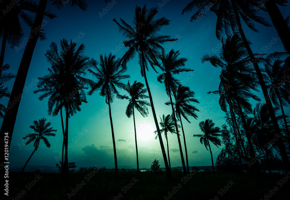Naklejka premium Silhouette coconut palm trees on beach at sunset. Vintage tone.