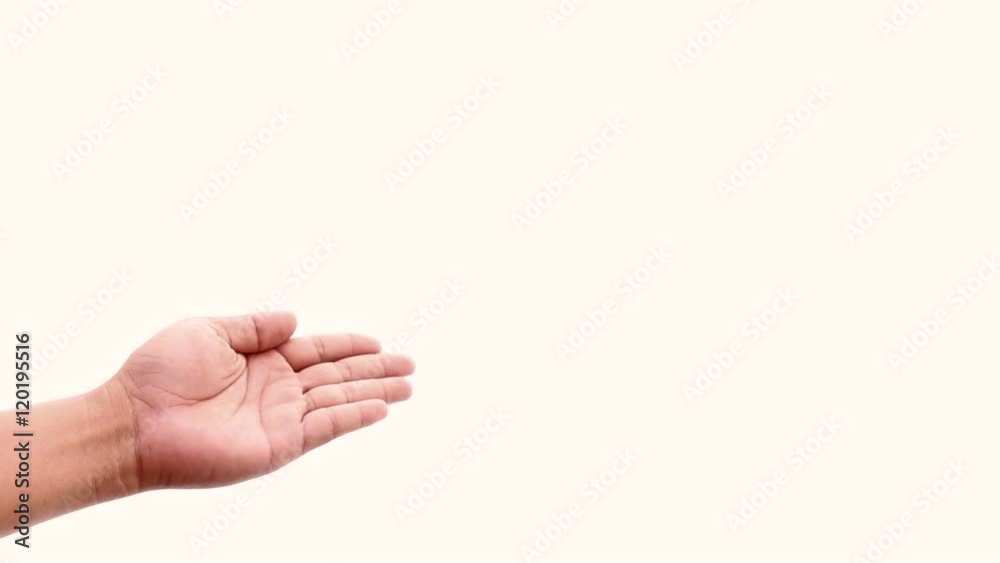 Hand presenting on isolated white background Hand presenting on isolated white background