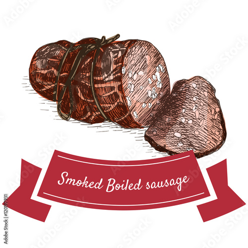 Smoked boiled sausage colorful illustration.