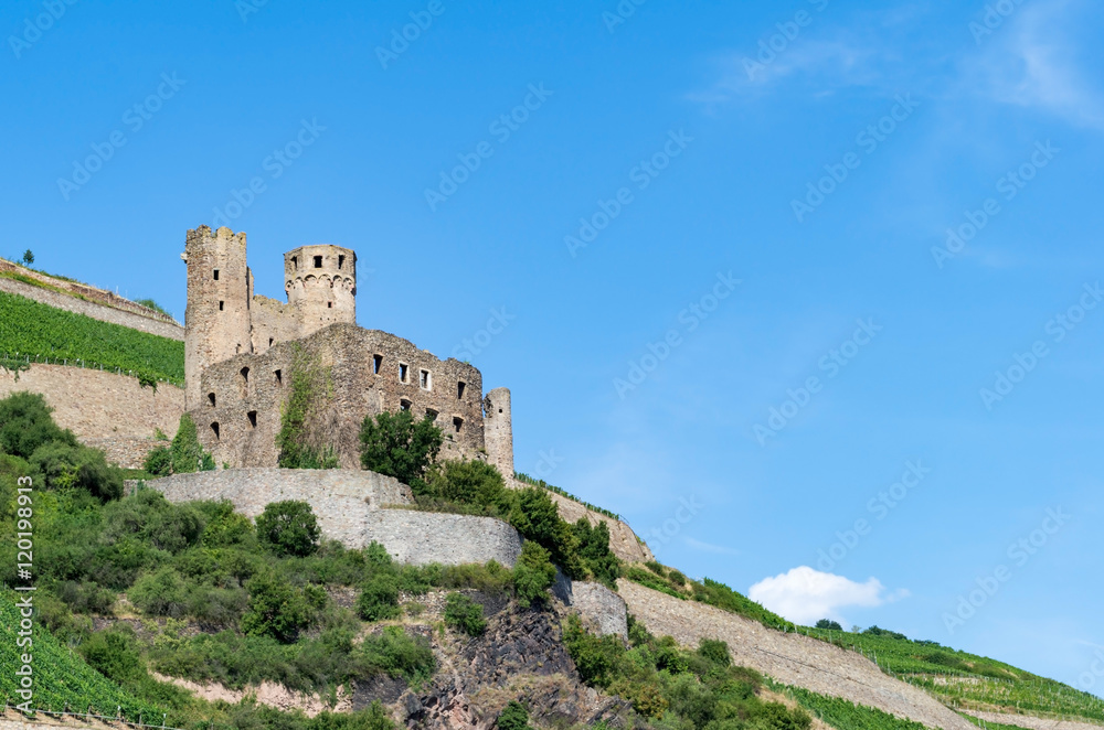 The ruins of a medieval fortress / castles on the cliff surrounded by green vineyards