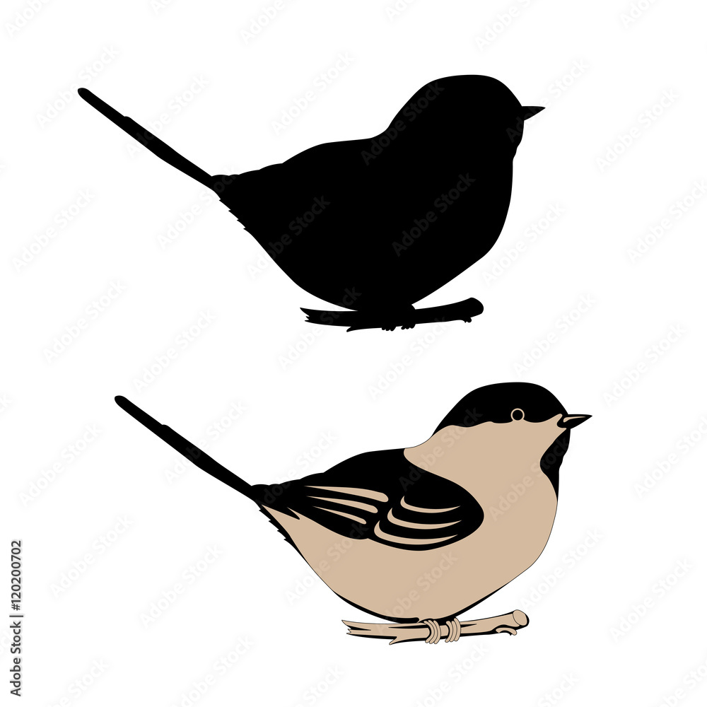 Fotografia tit vector illustration black silhouette style set Flat