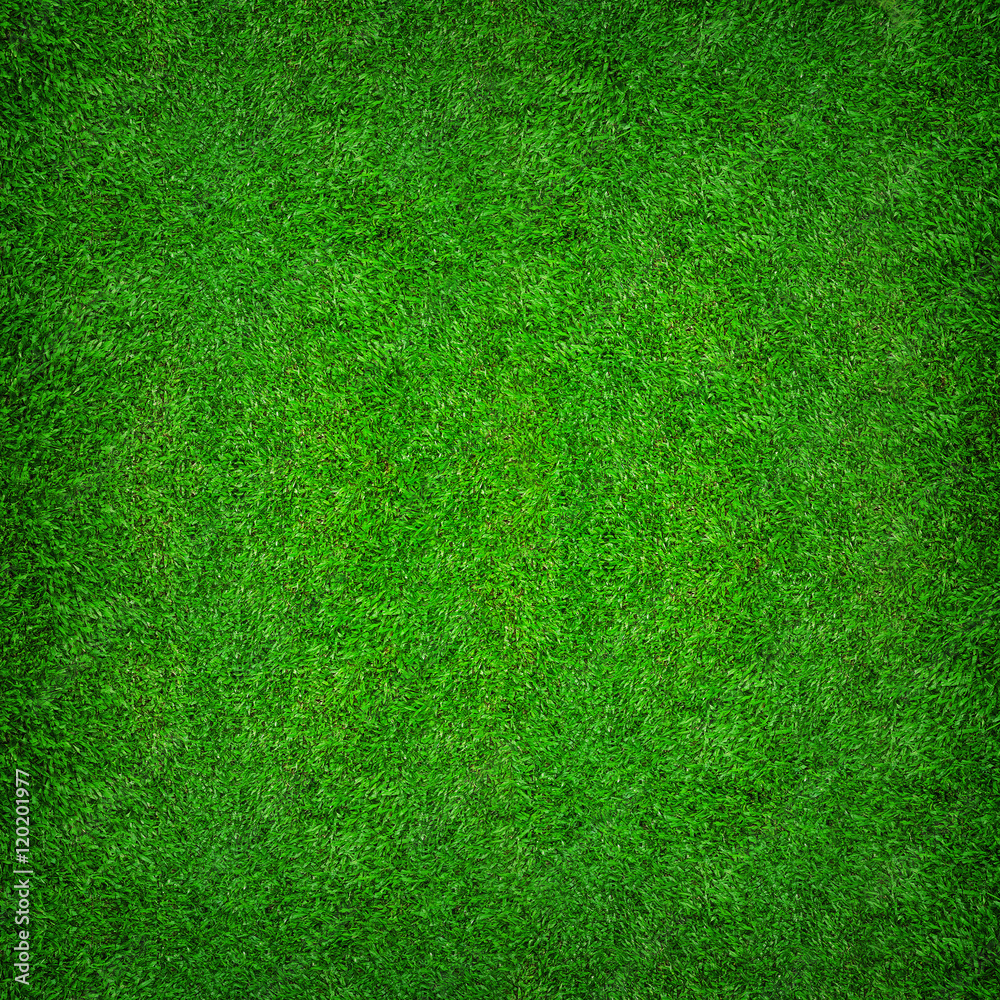 Naklejka Streszczenie naturalne tło zielonej trawy wzór i tekstura b