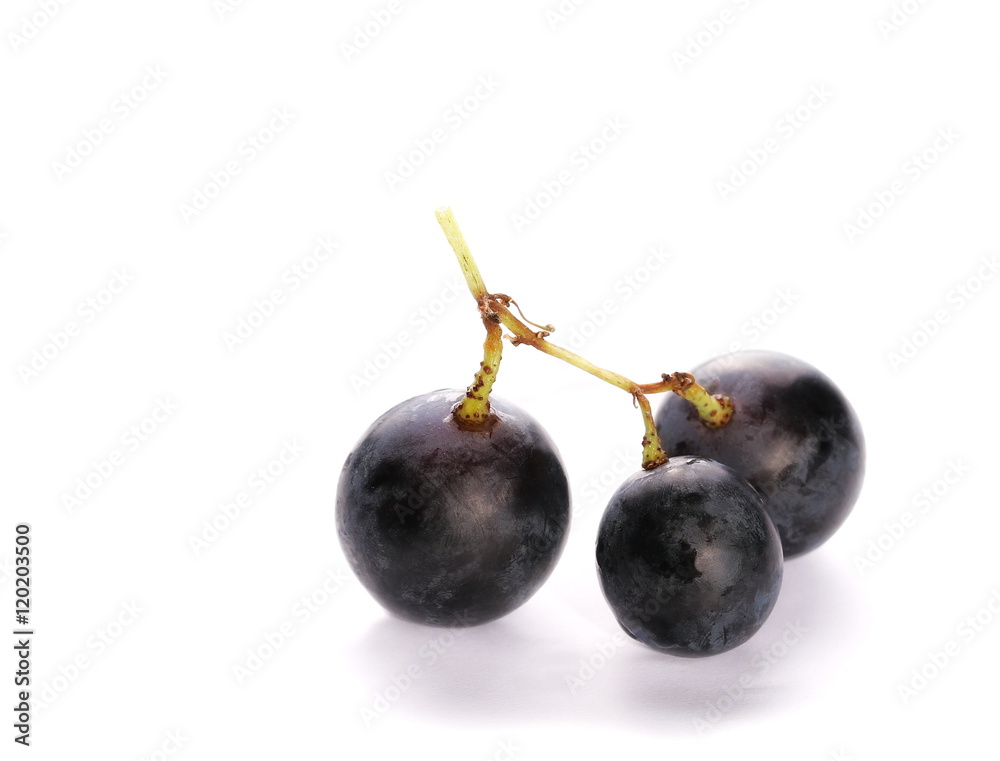 Dark grapes, Isolated on white background Dark grapes, Isolated on white background