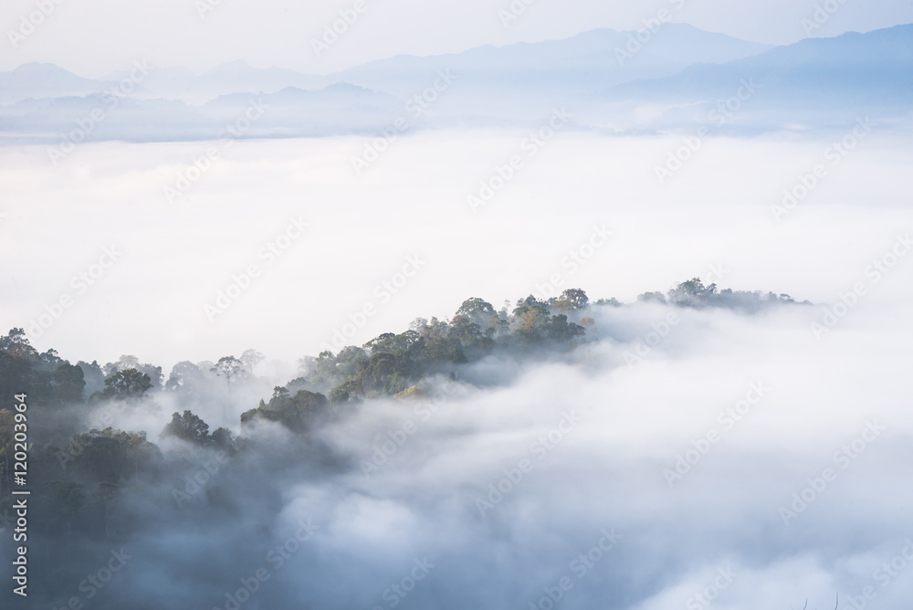 Morning fog and beautiful forest  Kaeng Krachan National Park, Phetchaburi, Thailand