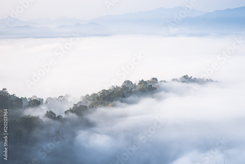 Morning fog and beautiful forest  Kaeng Krachan National Park, Phetchaburi, Thailand © schopferdesign
