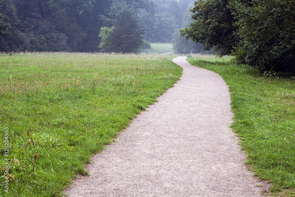 Path along the field into the forest. Evening before rain. Misty on the horizon.