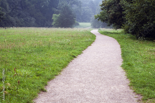Path along the field into the forest. Evening before rain. Misty on the horizon.
