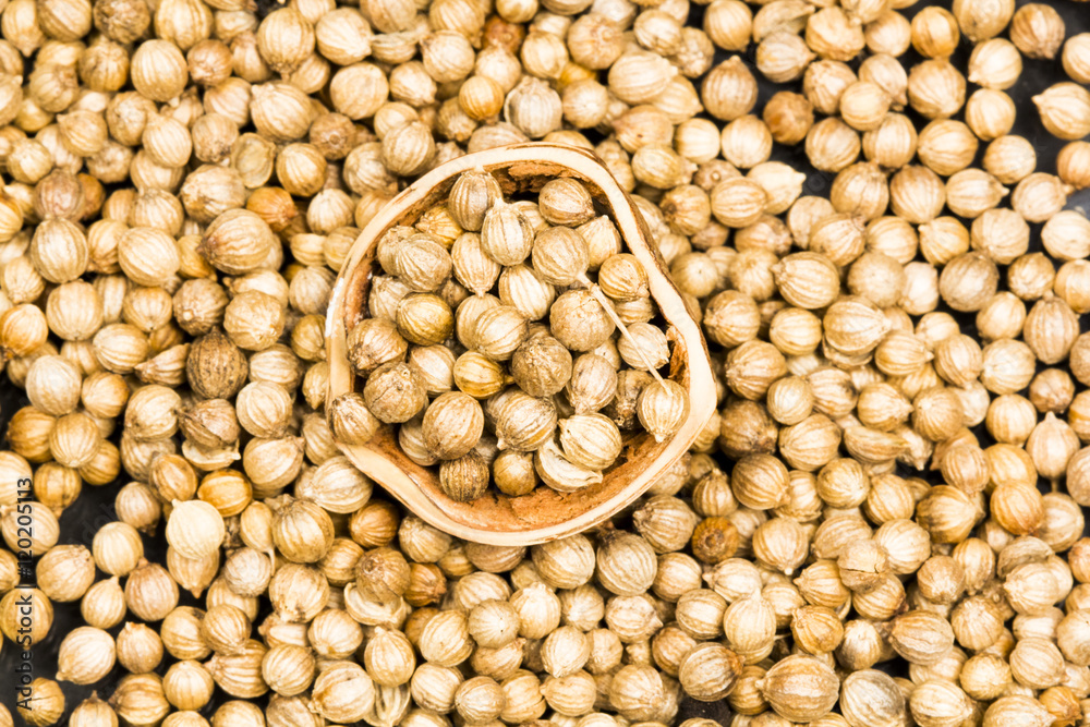 Coriander seeds texture with black background Coriander seeds texture with black background