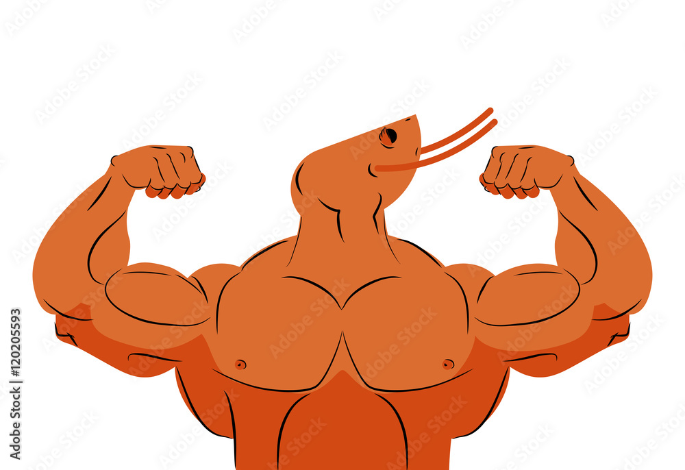Φωτογραφία Strong athlete shrimp. Fitness marine animal athlete with huge m