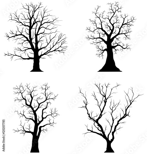 Collection of trees silhouettes on the white background