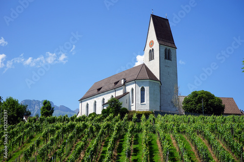 Church and vineyard in Lichtenstein