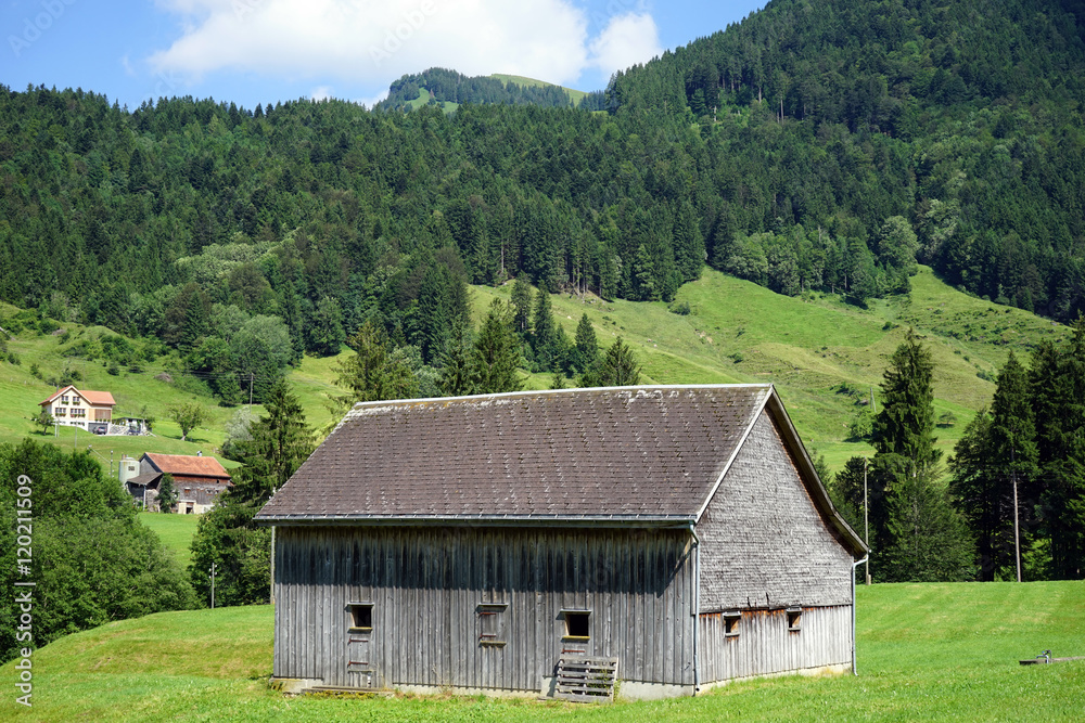 Wooden barn on the field