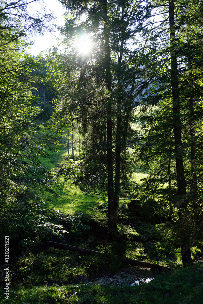 Obraz premium Sunlight and river
