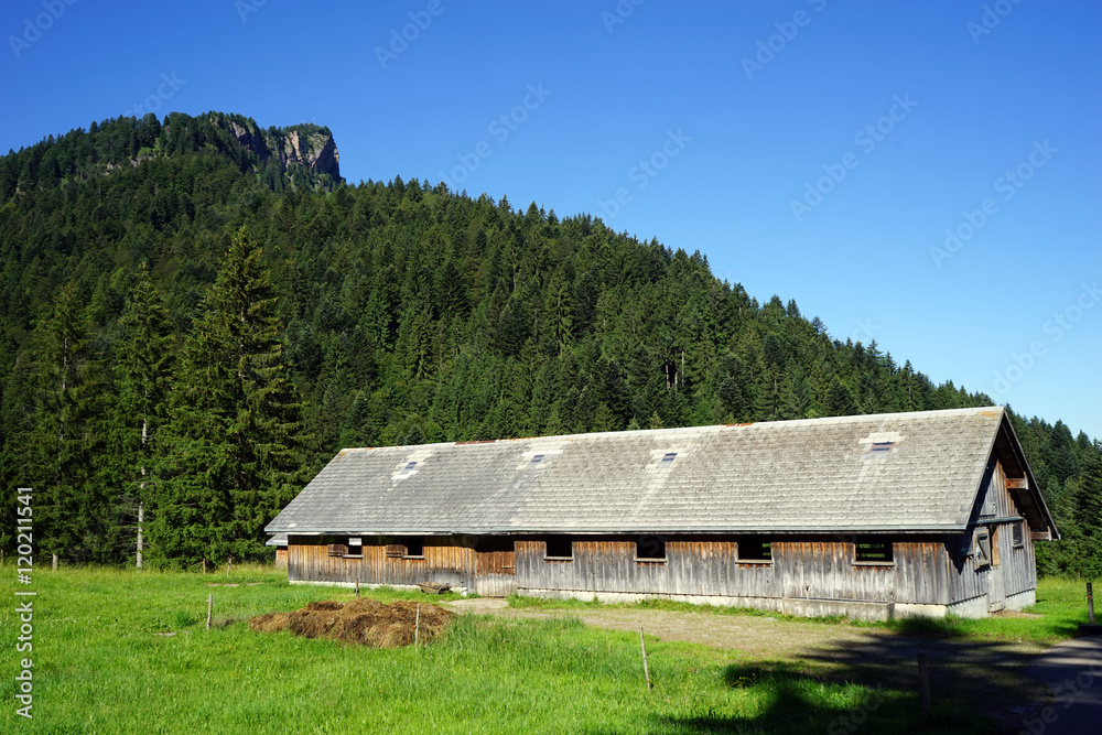 Long barn and pasture Long barn and pasture