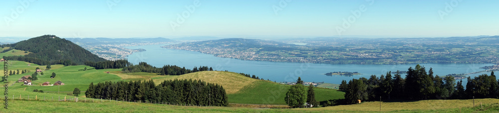 Panorama of green pasture