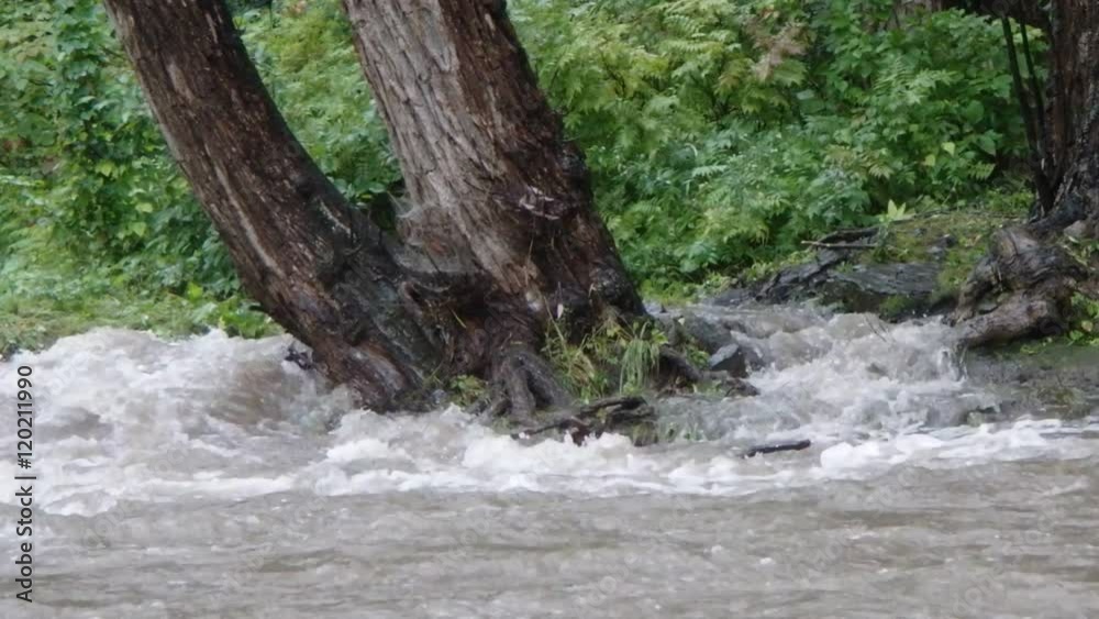 rivière