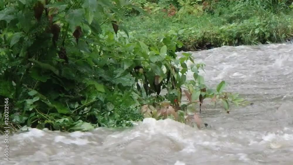 rivière
