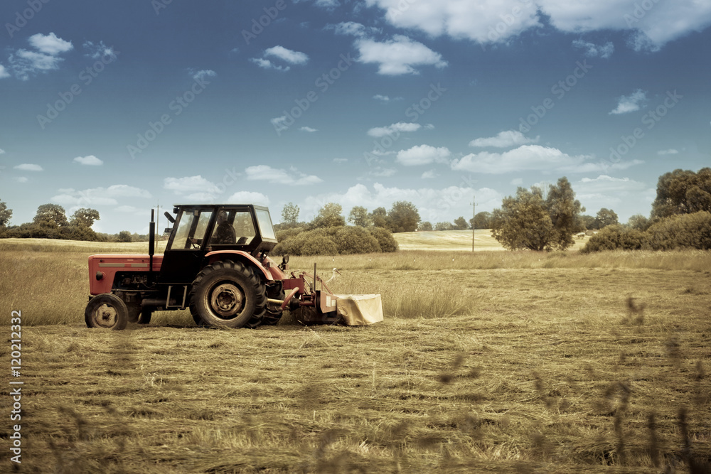 Gathering Crops Gathering Crops