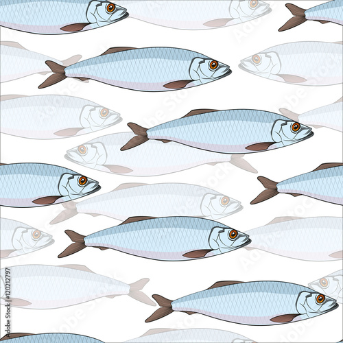 Seamless vector pattern of a shoal of herring in the water