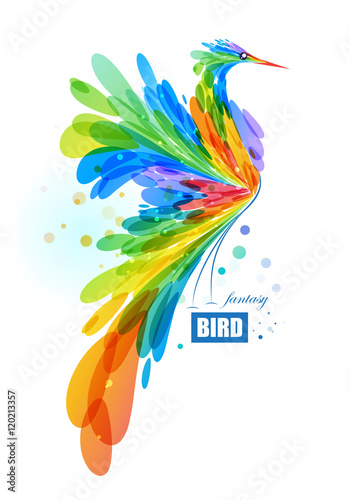 Colorful fantasy bird