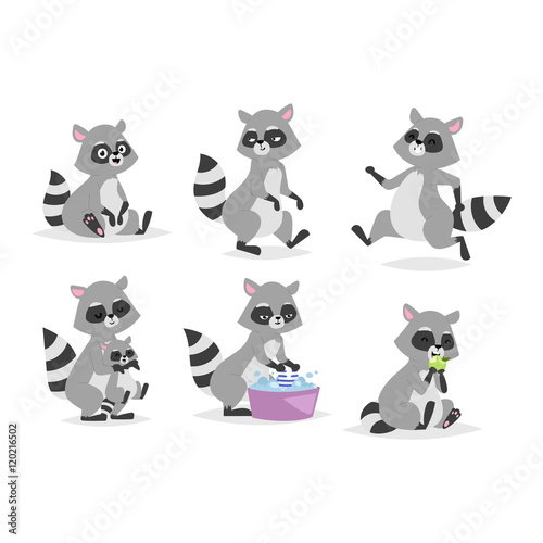 Cartoon raccoon vector illustration.