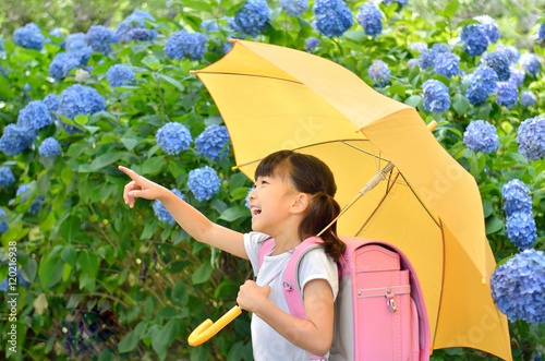 アジサイと小学生の女の子（梅雨）