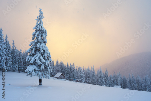 Winter landscape with wooden house in the mountains © Oleksandr Kotenko