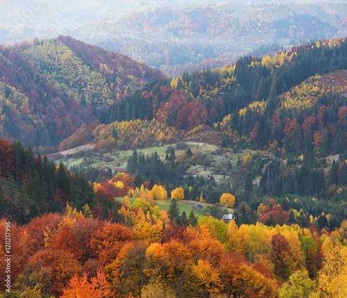 Autumn landscape with a beautiful forest on the slopes