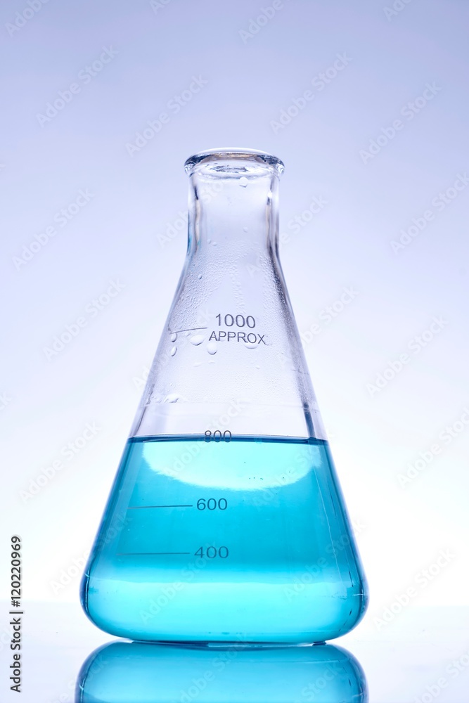 Erlenmeyer Flask Erlenmeyer Flask