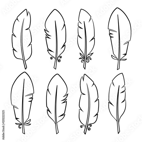 Set of isolated Feathers on white background. Collection of design elements.