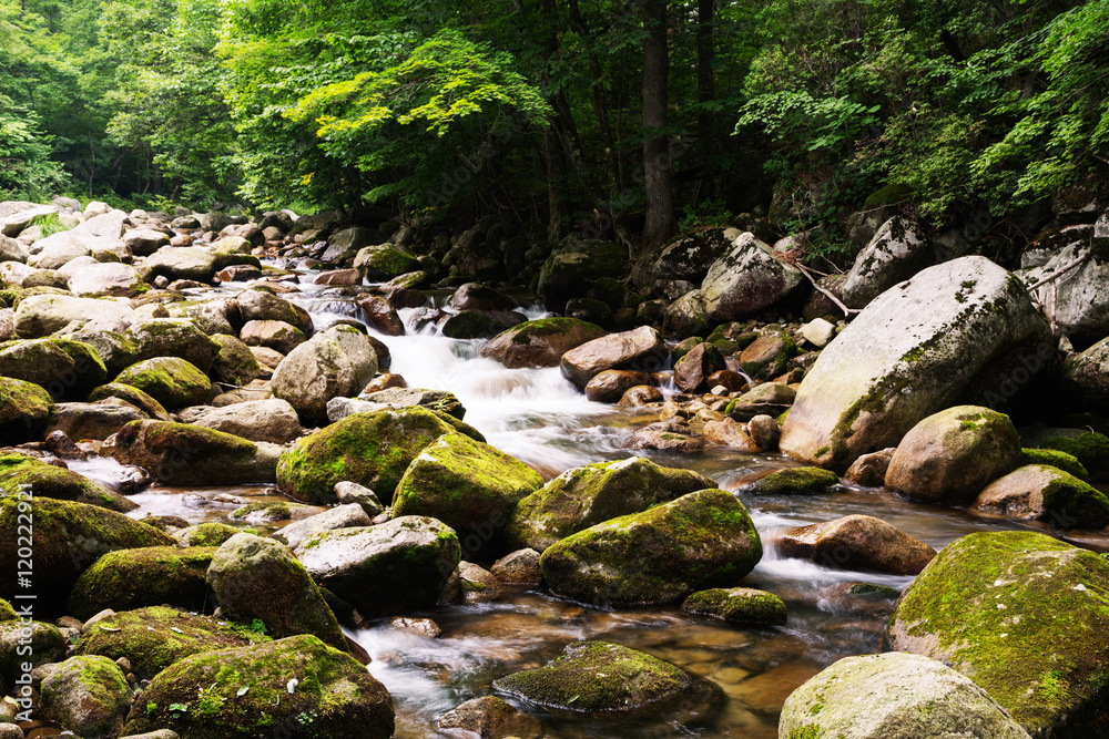 Summer river view in a remote mountainous region Summer river view in a remote mountainous region