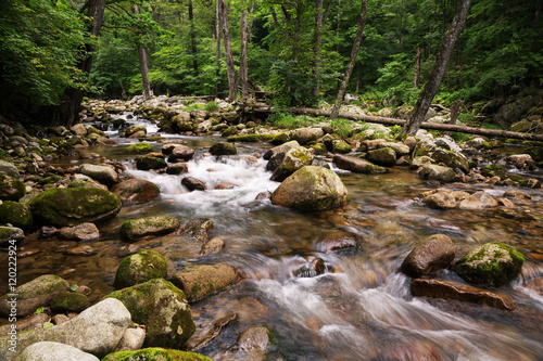 Summer river view in a remote mountainous region