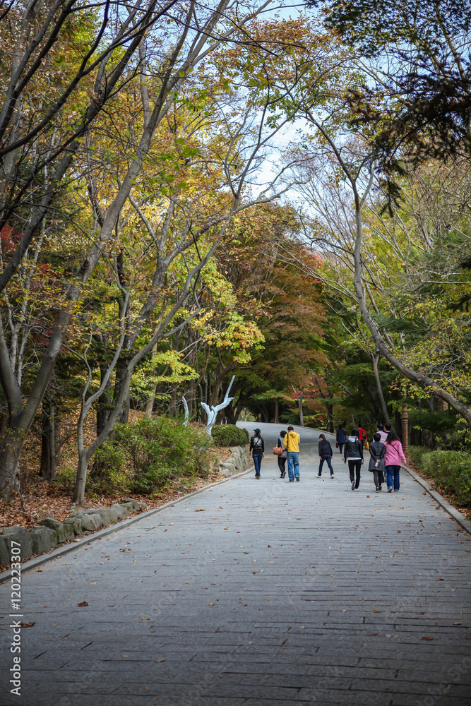 경주 불국사의 가을을 즐기는 사람들 경주 불국사의 가을을 즐기는 사람들