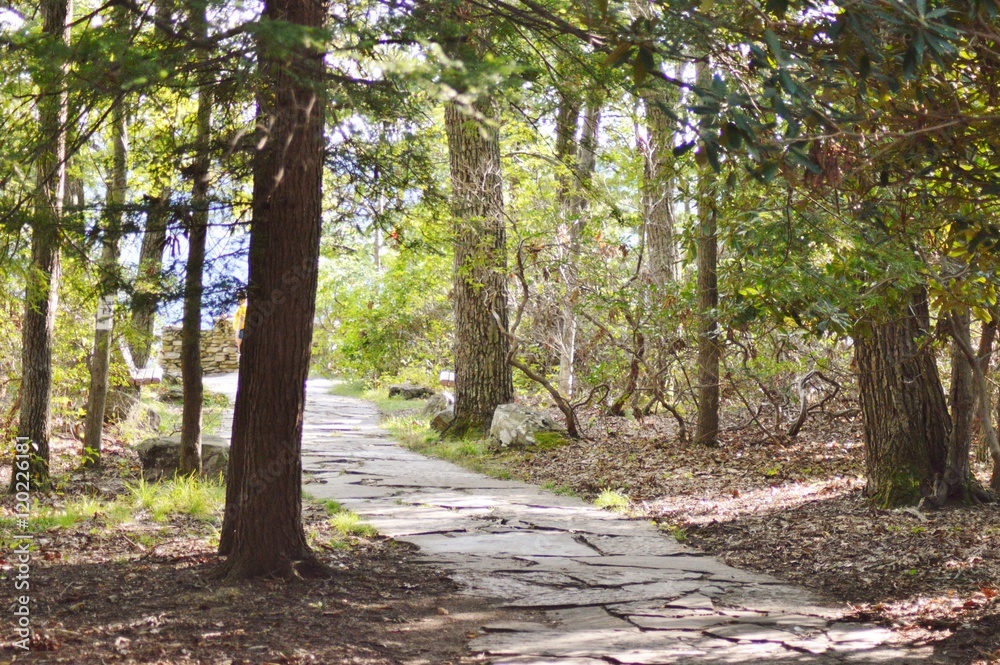 Obraz premium morgantown