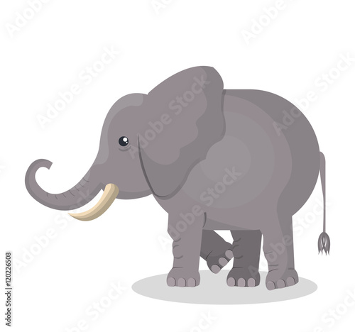 elephant india country design vector illustration eps 10