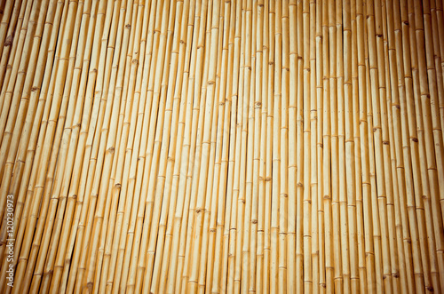 Bamboo in Thailand  Golden bamboo