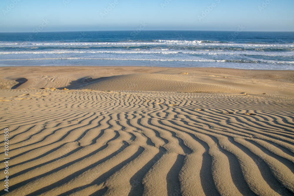 Alexandria Sand Dunes, South Africa Alexandria Sand Dunes, South Africa
