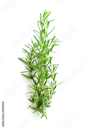 The rosemary branch.