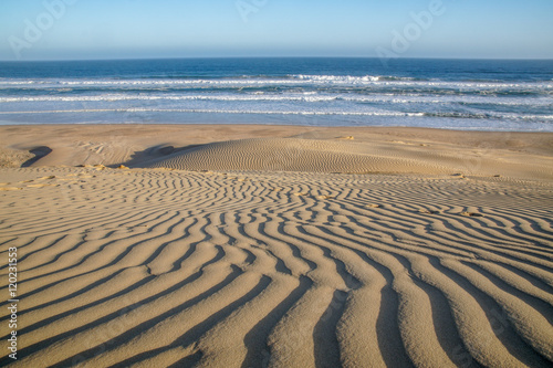 Alexandria Sand Dunes  South Africa