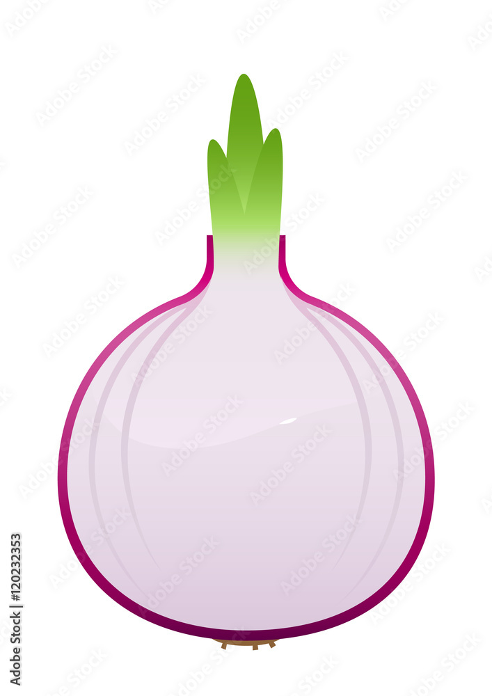 bright juicy onion cartoon over white background