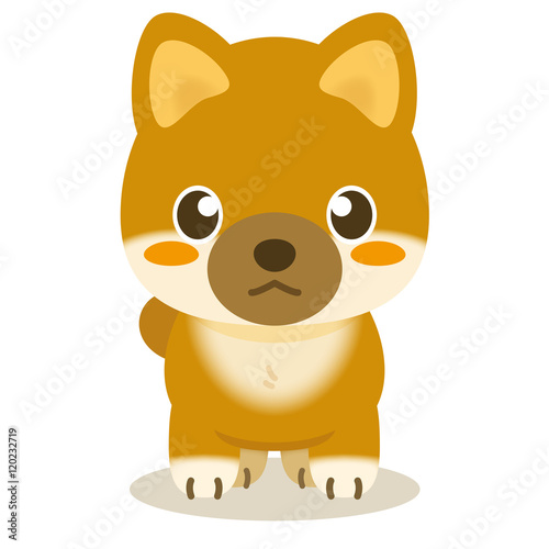 いぬっこ倶楽部 柴犬