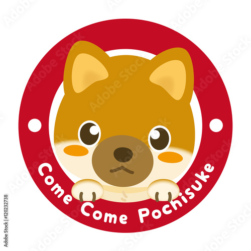 いぬっこ倶楽部 柴犬