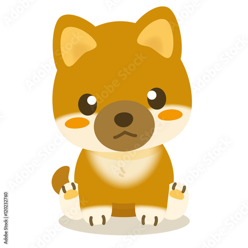 いぬっこ倶楽部 柴犬