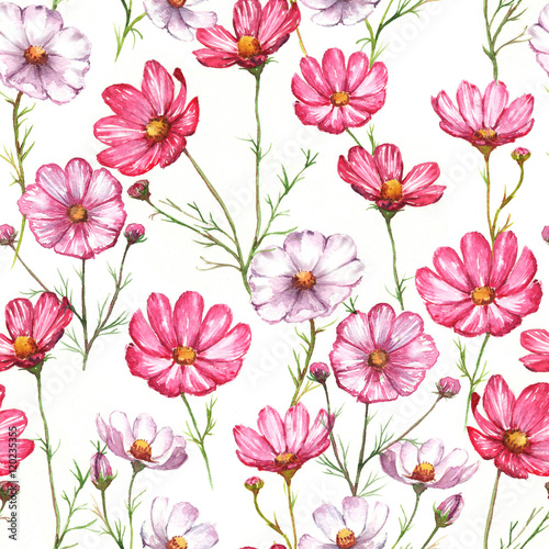 Hand-drawn watercolor seamless pattern with pink and white kosmea flowers. Colorful chamomile blossom on the repeated print for the textile  wallpapers etc. Spring background