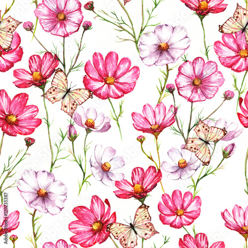 Hand-drawn watercolor seamless pattern with pink and white kosmea flowers with butterflies. Colorful chamomile blossom on the repeated print for the textile  wallpapers etc. Spring background