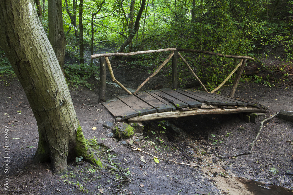 Old wooden bridge over the creek in the forest. Green trees. Old wooden bridge over the creek in the forest. Green trees.