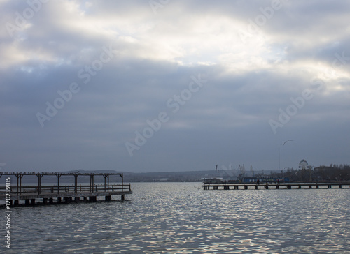 Seagulls on the dock. Black Sea