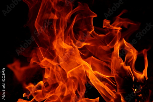 Closeup of a large fire. Wooden planks to the fire. The fire is lit in the night. © xokk1308